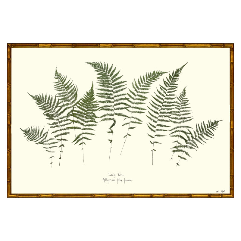Lady Fern Garden Print by Sandy Whitaker, Gold