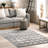 Kaylani Transitional Medallion Area Rug-758473028