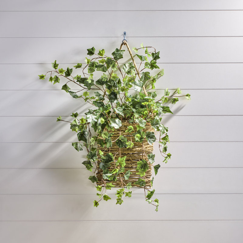 26" Frost English Ivy Spray