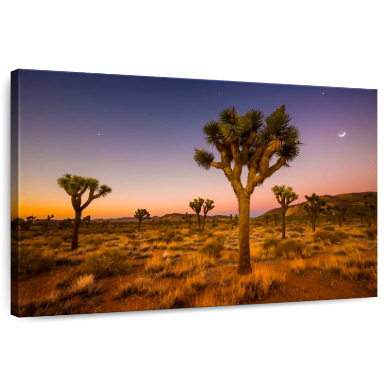 Keesha Joshua Tree Valley At Sundown