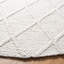 Trellis Hand Woven Area Rug-852101745
