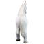 Animals Weather Resistant UV Resistant Plastic Garden Statue