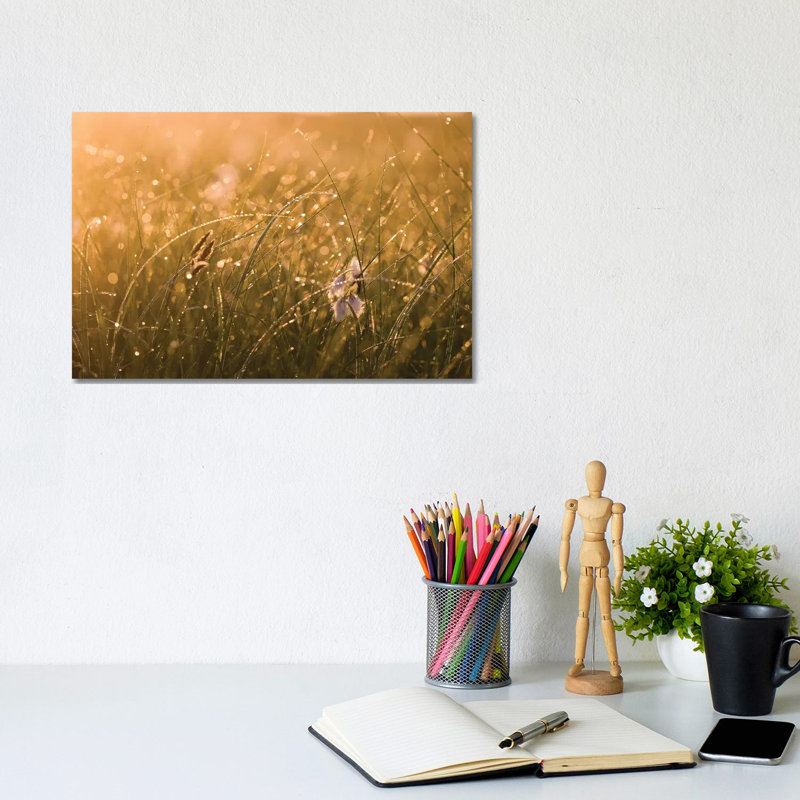 Morning Dew II by Mateusz Piesiak - Wrapped Canvas Print, 20.32 cm H x 30.48 cm W