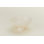 Essential Cereal Bowl