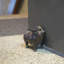 Cochon volant en fonte Boody