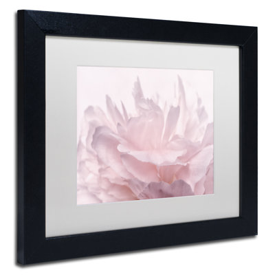 « rose pivoine pétales iii », reproduction de photo sur toile encadrée