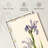 Iris Missouriensis-632516763