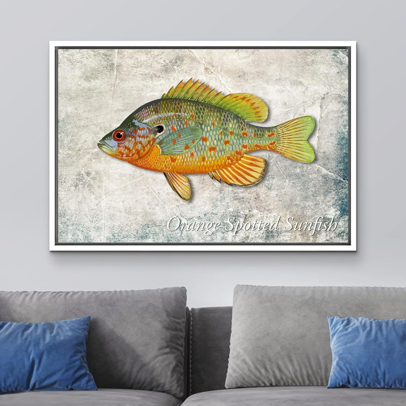Crapaud orange sur fond de granit, vie marine, réalisme nautique, ultra sur toile, Cadre flottant blanc