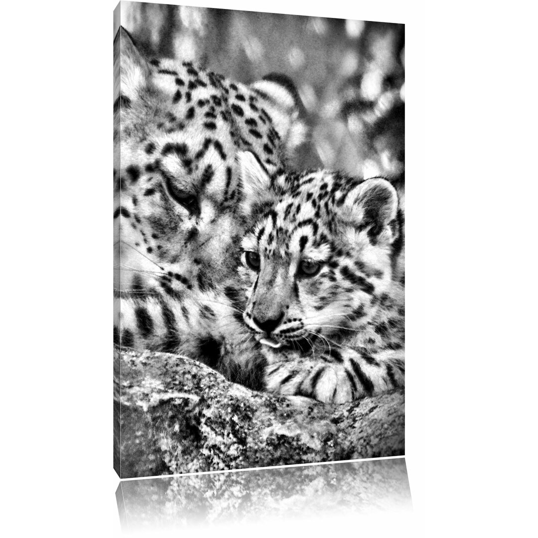 Leinwandbild Leopard mit Jungtier in Monochrom