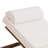 Lounge Chaise Set With Headrest and Retractable Side Tray-1009042210