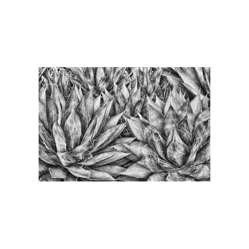 Agaves par Harold Davis - reproduction de dessin, Couche de verre, H 40 po x l 60 po