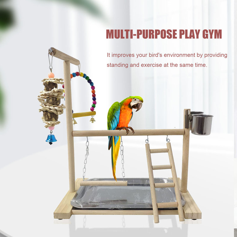 Bird Play Gym For Table Top