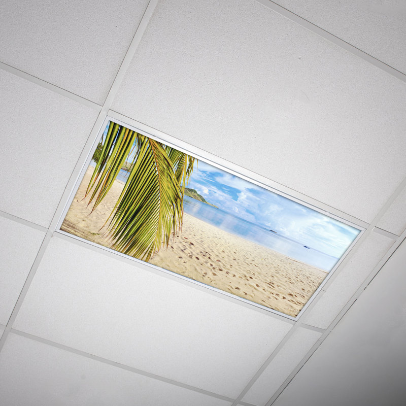 Housses pour lampes de plafond Beach Classroom