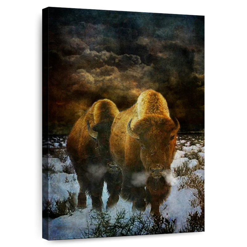 Brampt Storm Bison, 39" H x 26" W