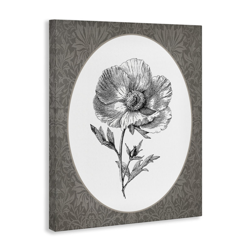 Art mural sur toile Anemone Sprig Vignette, H 20 po x l 16 po