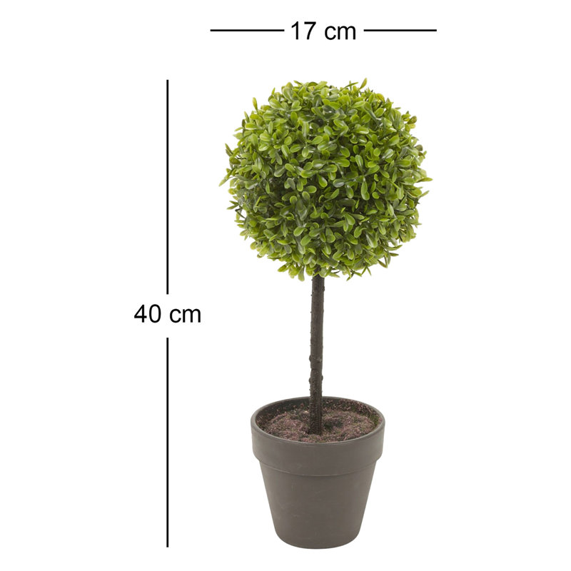 40cm Faux Boxwood Plant in Planter, Black