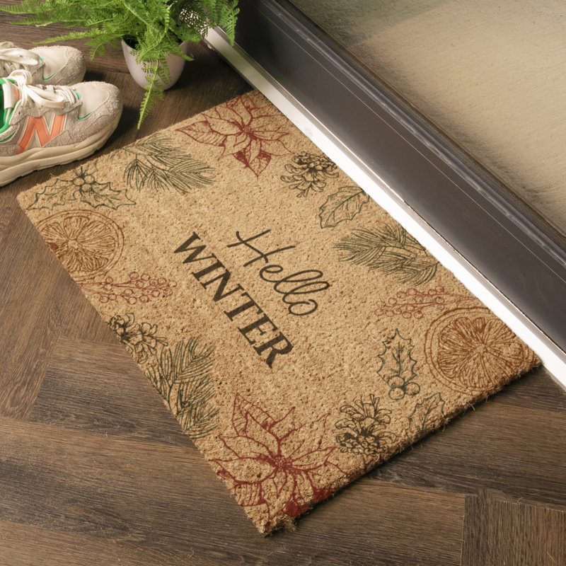Non-Slip Doormat, 24" x 36"