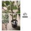 Arbre d'intérieur Simulation Eucalyptus