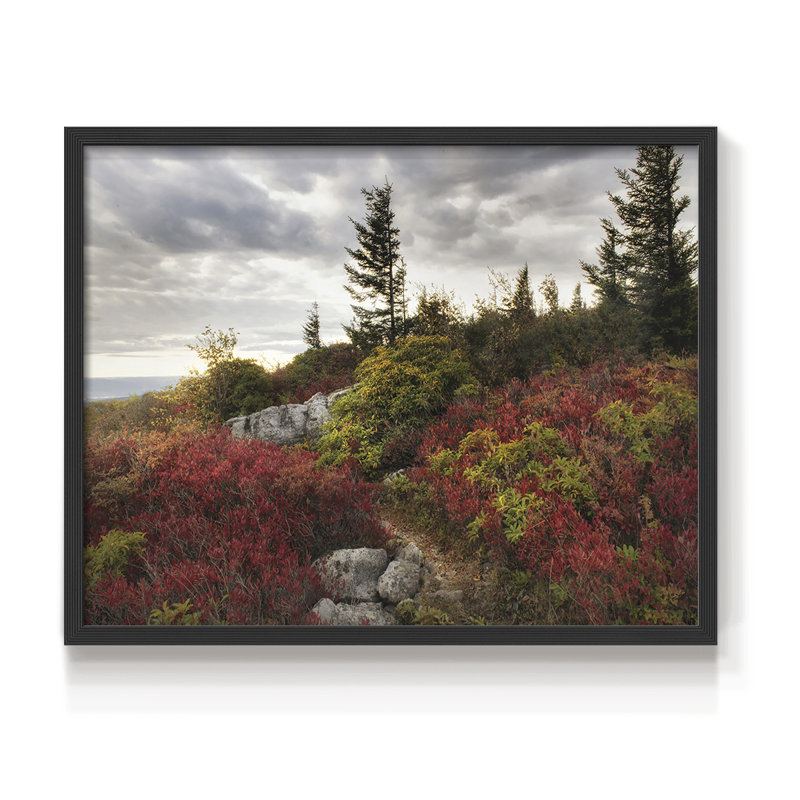 Highland Trail -Framed Print - Restickable, 11" H x 14" W, Black