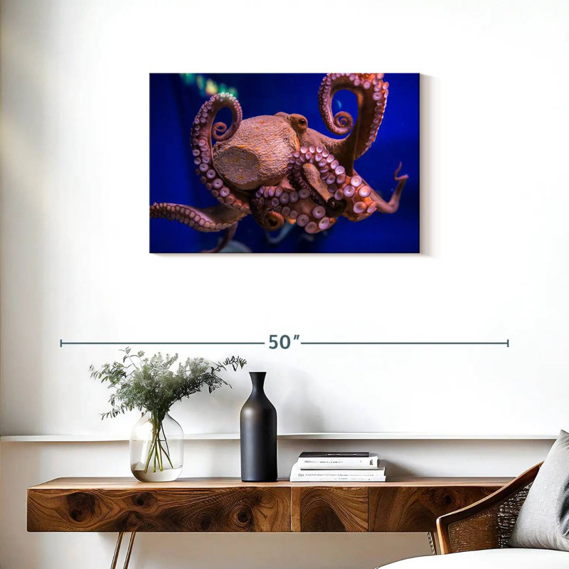 Octopus Prowess, H 20 po x l 30 po