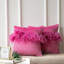 Housse de coussin en plumes-1263361731-1263361758-1228598420