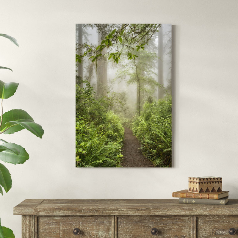 «Summer Forest I» par Dianne Poinski - Photographie sur toile tendue, H 36 po x l 24 po