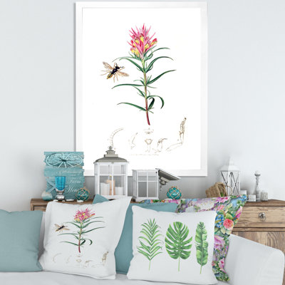 " Vintage Insects and Plants I " Color Photography Painting