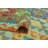 Cala Wool Indoor Rug