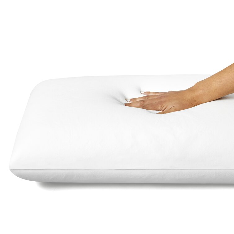 Sealy  Medium Support Pillow