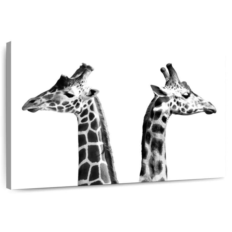 Brampt Giraffe Opposition, 30" H x 45" W