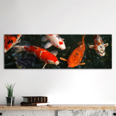 Koi Carp in Japon - Reproduction de photo panoramique non encadrée sur toile