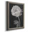 Black And White Flowers II - Single Picture Frame Print on Canvas-496132648