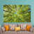 Wrapped Canvas
