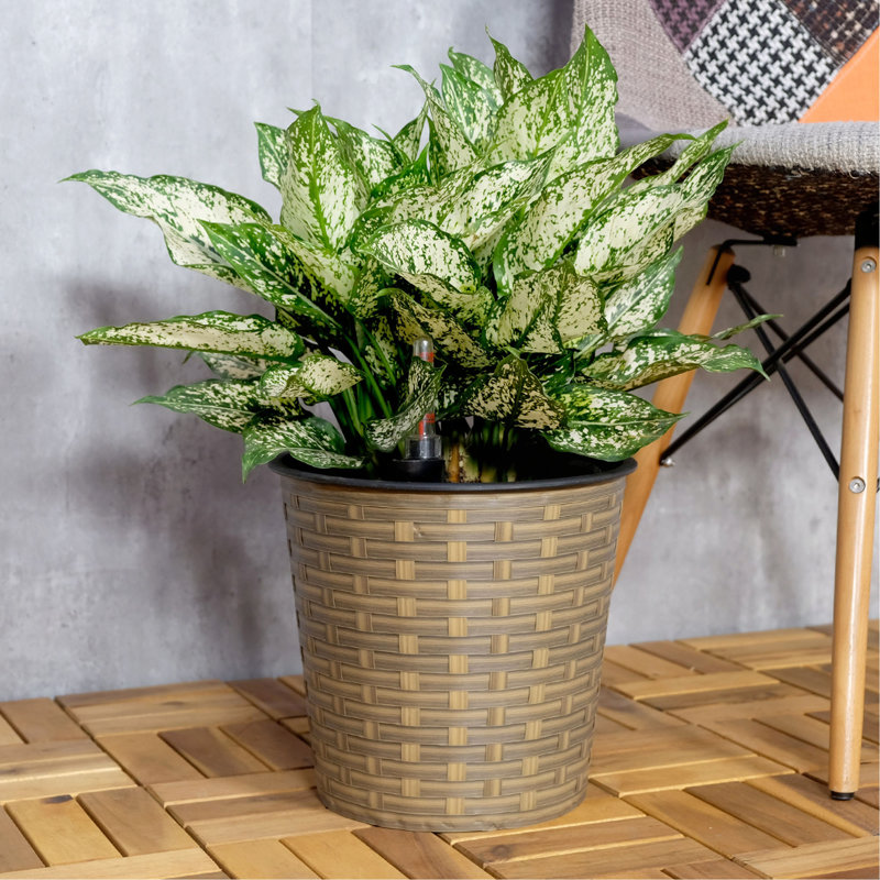 10.2" Self-watering Wicker Decor Planter for Indoor and Outdoor - Round, Natural