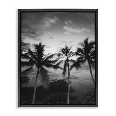 Cadre flottant avec palmiers, photographie de Carol Robinson