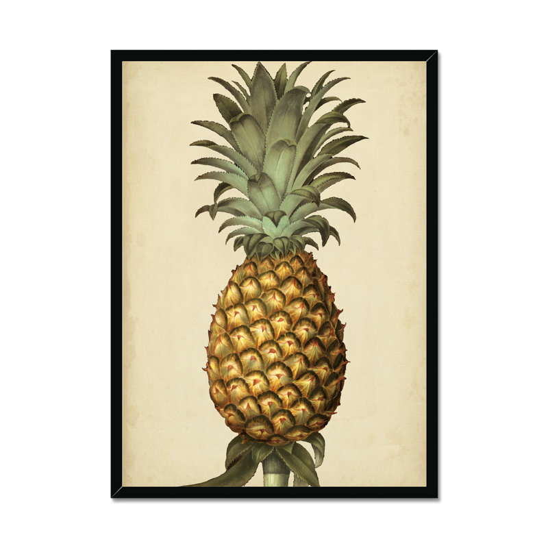 Brookshaw Antique Pineapple I by George Brookshaw - Painting, Black Framed Paper Print, 80cm H x 55cm W