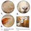 Texture de mouton beige II sur toile-1678033297-1678033311