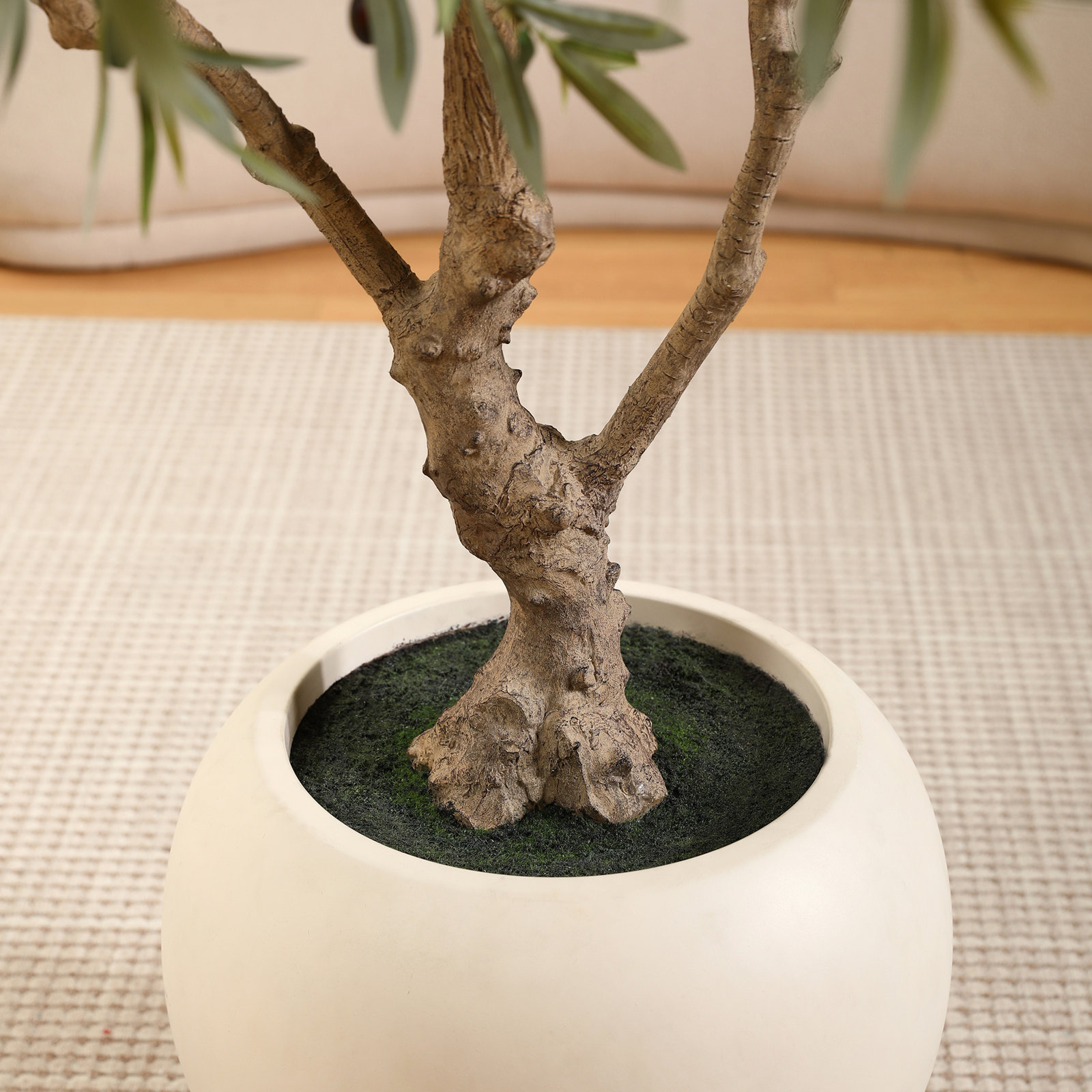 Alvina 96" Olive Tree in Pot