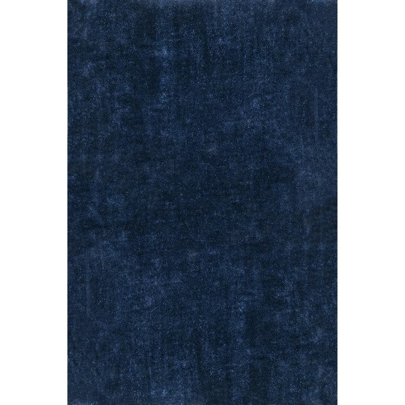 Loni Solid Machine Washable Shag Area Rug for Living Room Bedroom Dining Room Nursery, Rectangle 4' x 6'