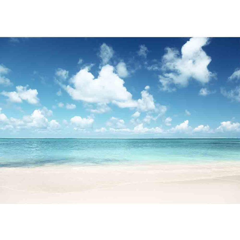 Murale sable de la mer des Caraïbes à peindre, L 100 po x l 144 po