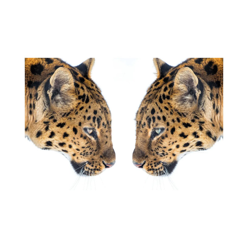 Mirrored by David Gardiner - Wrapped Canvas Print, 30.48cm H x 45.72cm W