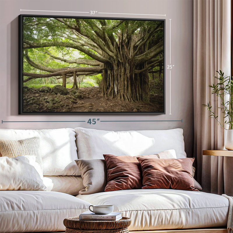 Impression sur toile Banyan Tree, H 25 po x l 37 po