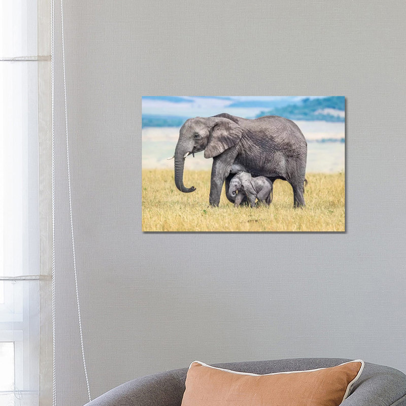 A Wee One by Jeffrey C. Sink - Wrapped Canvas Print
