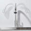 Moverlesenk Kitchen Faucet