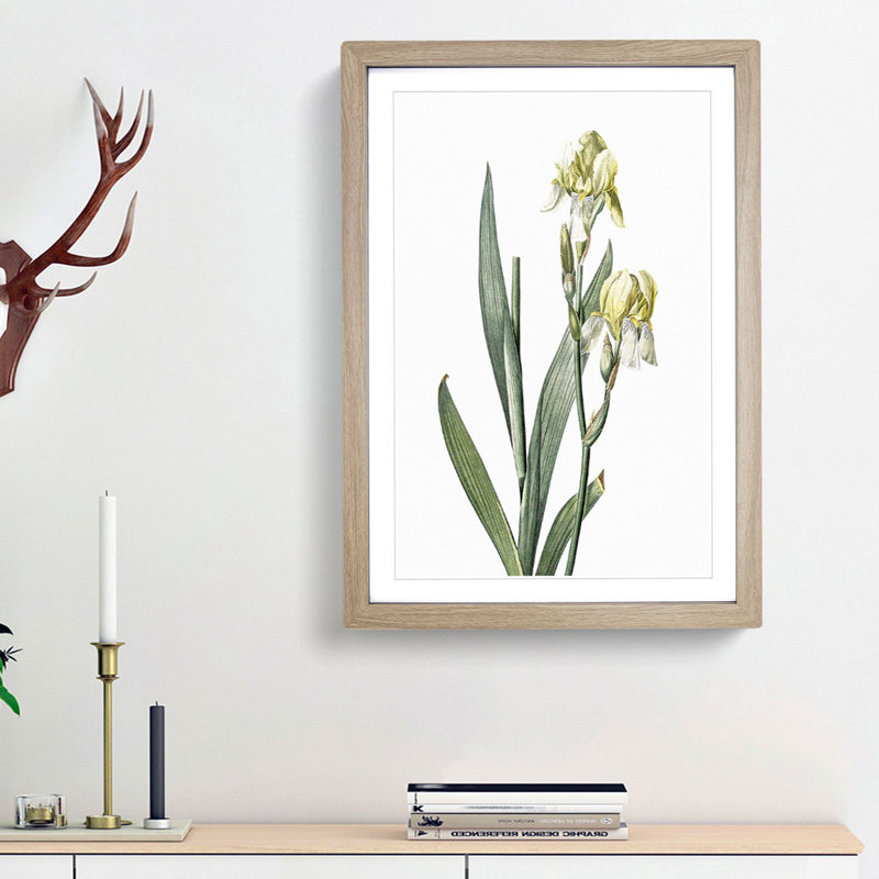 Lemon-yellow Iris Flowers by Pierre-Joseph Redoute - Picture Frame Painting Print, 48cm H x 36cm W x 2cm D, Oak Framed