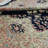 Oriental Rug