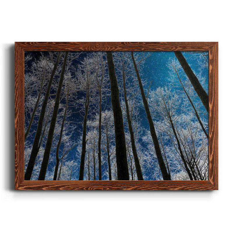 Silhouette de nuit - Photographie de cadre photo sur toile, Toile encadrée érable, H 31,5 po x l 23,5 po x P 1,5 po