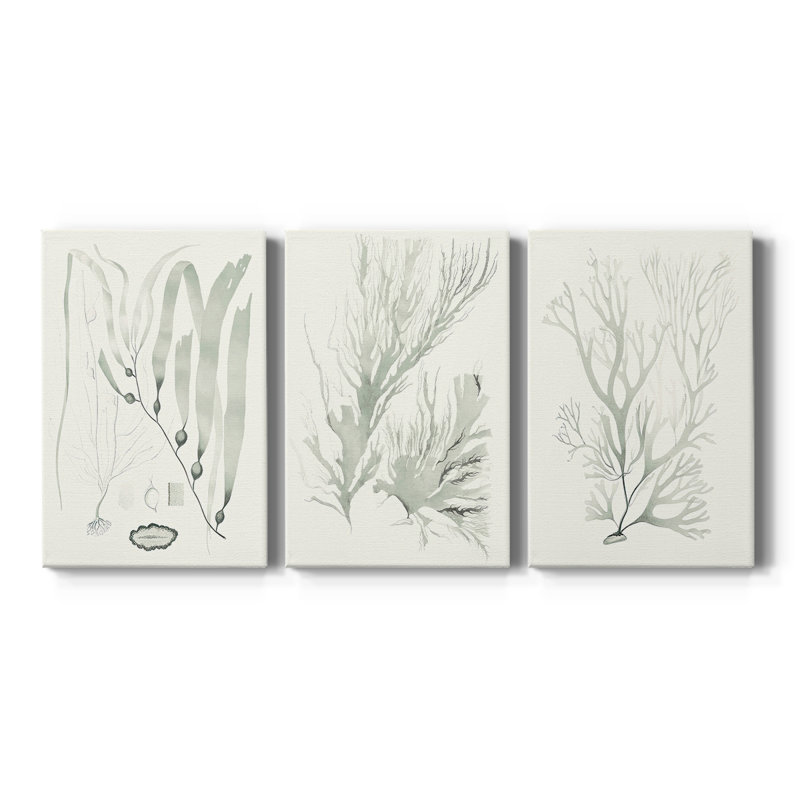 Sage Green Seaweed III - Toile tendue avec châssis sur mesure - 3 pièces, H 12 po x l 24 po