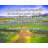 ArtsyQuotes Gallery Wrapped Canvas By Reuven Feuerstein: "If you are not prepared to look at your pupils strength’s, don’t touch their weaknesses."-1946249297