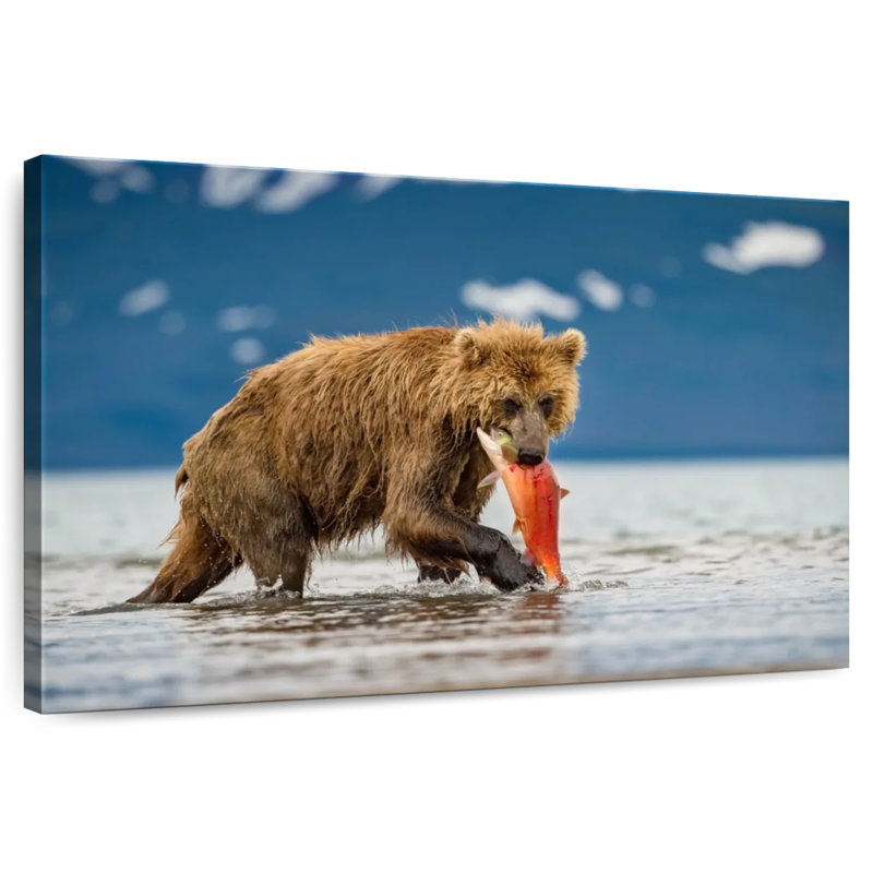 Brampt Grizzly Bear Eating Salmon, 8" H x 12" W